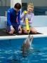 1396903935000-xxx-dolphin-tale-2-mov-jy-3606-63352630