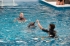 dolphin-tale-25