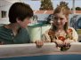 Dolphin Tale