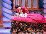 Sleeping Beauty and Her Winter Knight